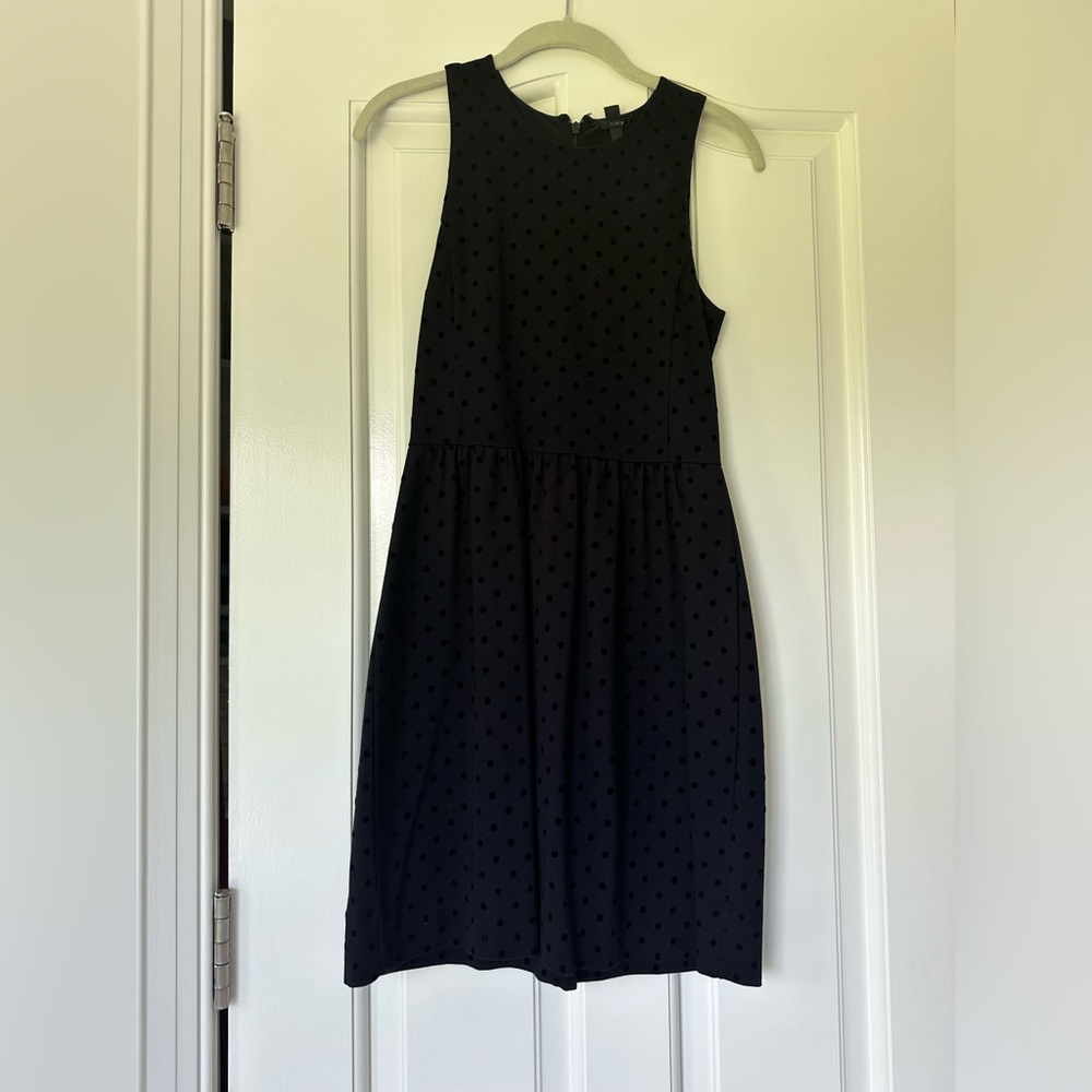 J. Crew Factory Women's Ponte Dress in Velvet Dot